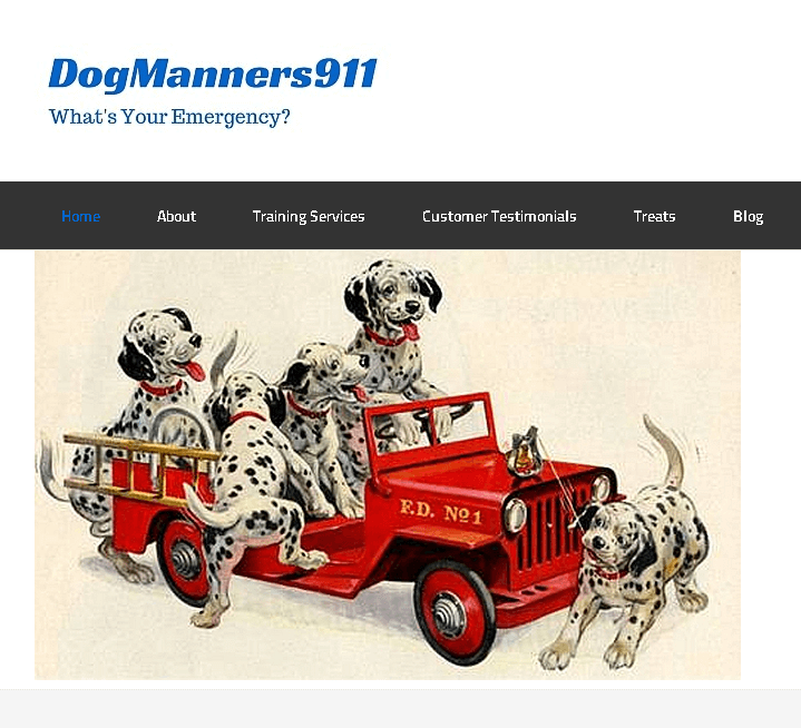 DogManners911