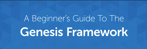 Genesis Beginner Guide Top