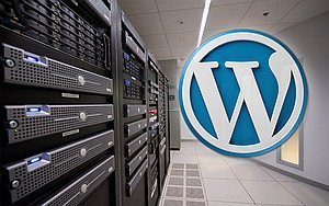 Close-up of server rack with a WordPress logo.
